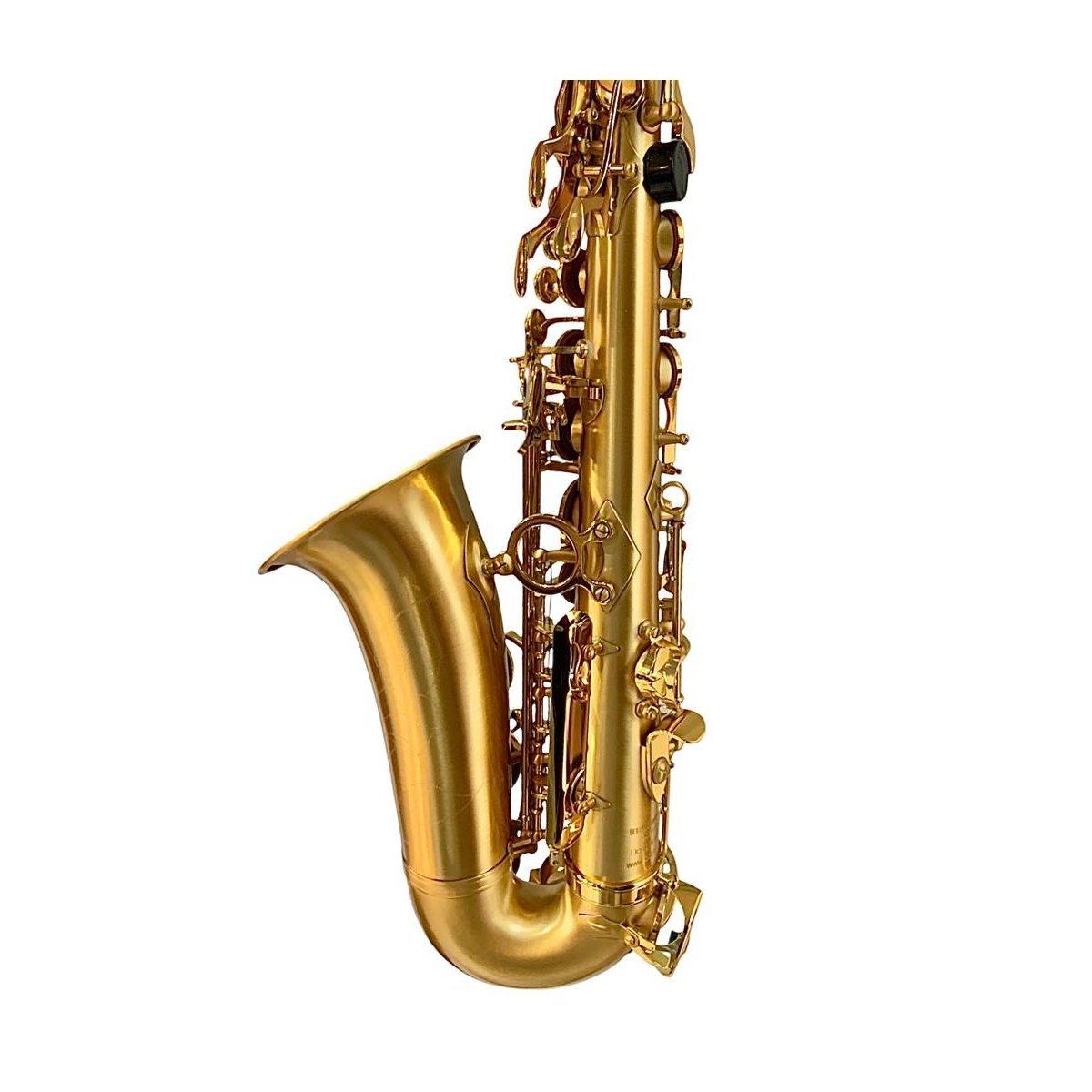Bbrass evolution sax alto - mat satin gold