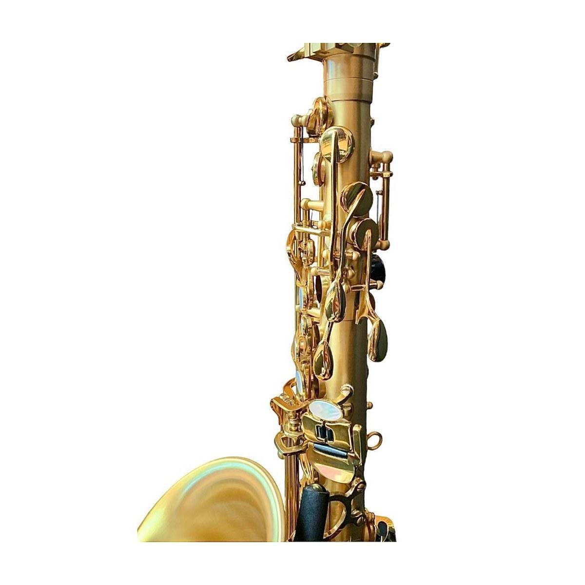 Bbrass evolution sax alto - mat satin gold