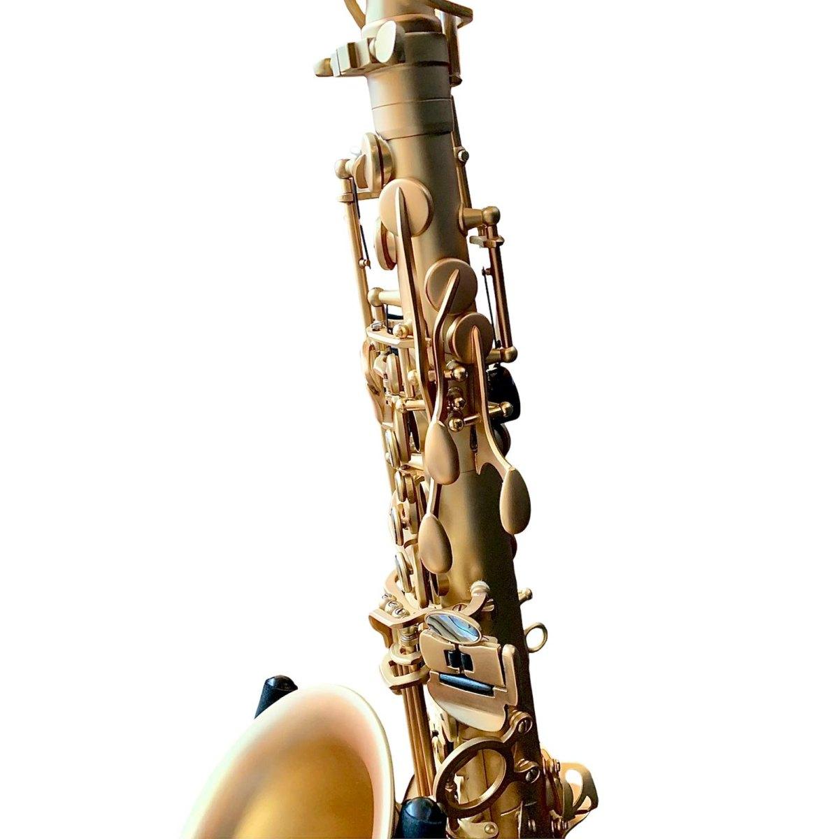 Bbrass evolution sax alto - satin gold