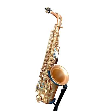 Bbrass evolution sax alto - satin gold