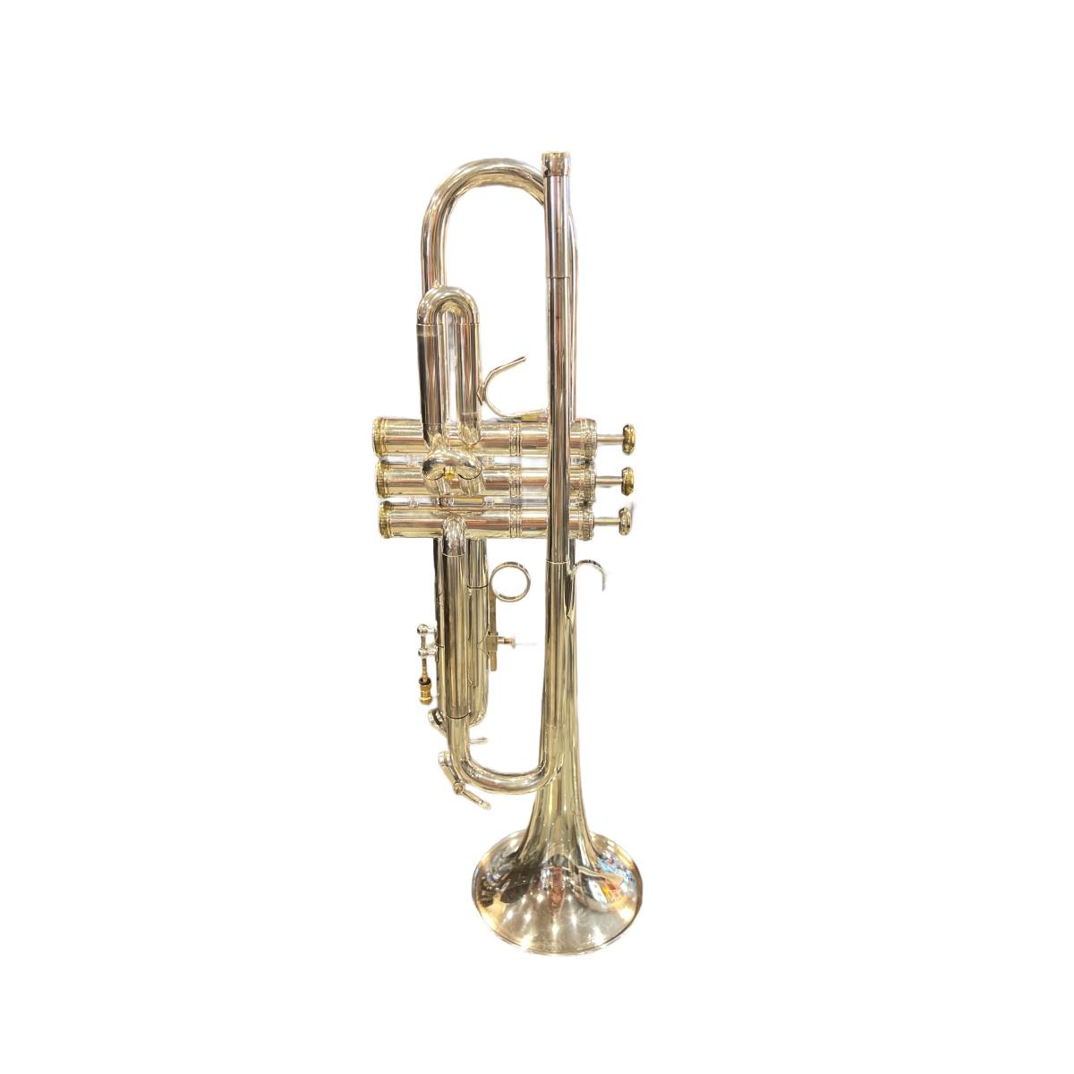 B&S TROMBA SIb sn 60291 - USATO GARANTITO