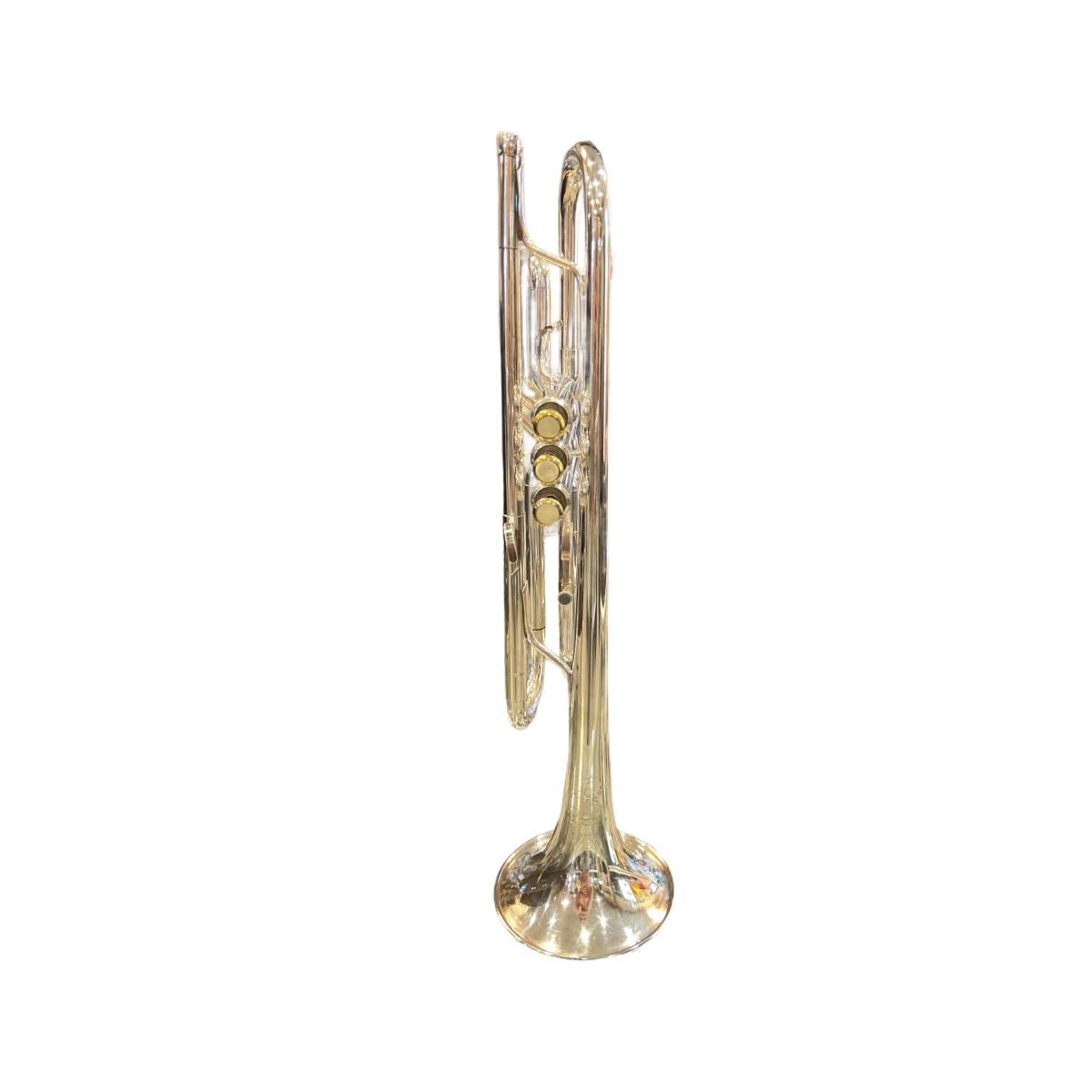 B&S TROMBA SIb sn 60291 - USATO GARANTITO