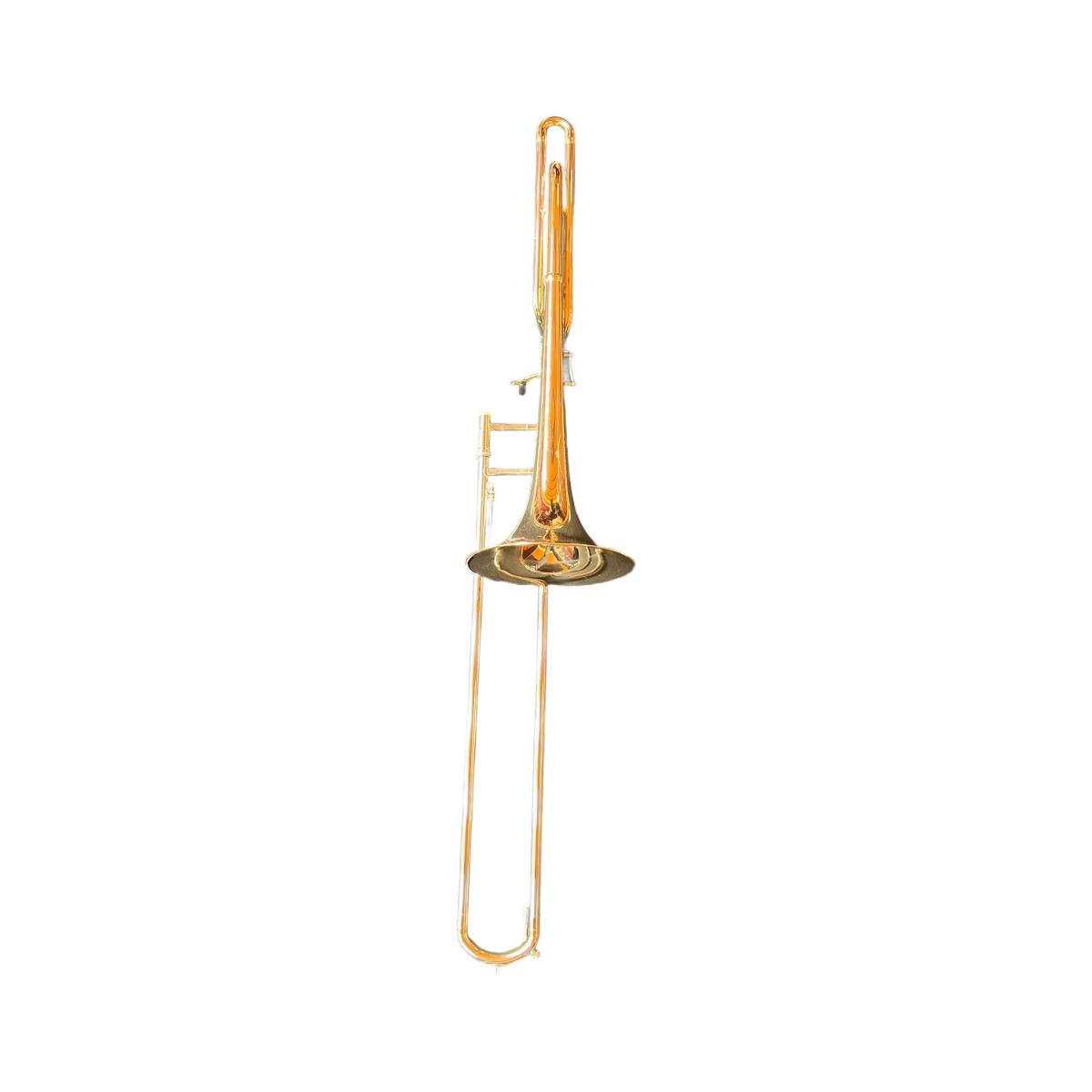 Schagerl aurora trombone tenore s.n. 11792 usato