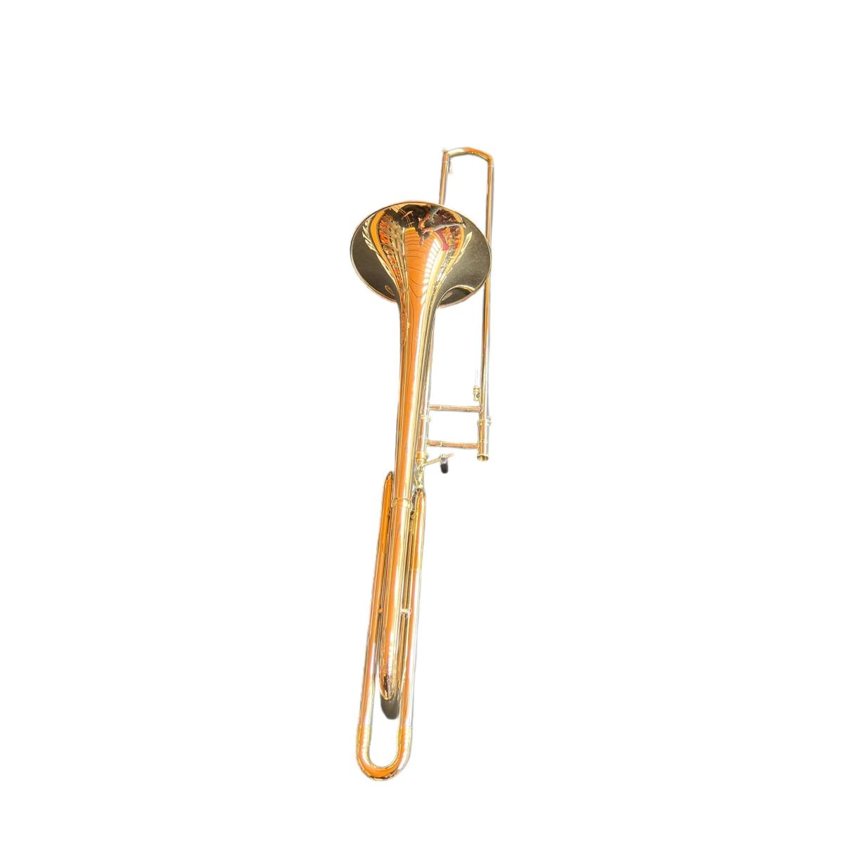 Schagerl aurora trombone tenore s.n. 11792 usato