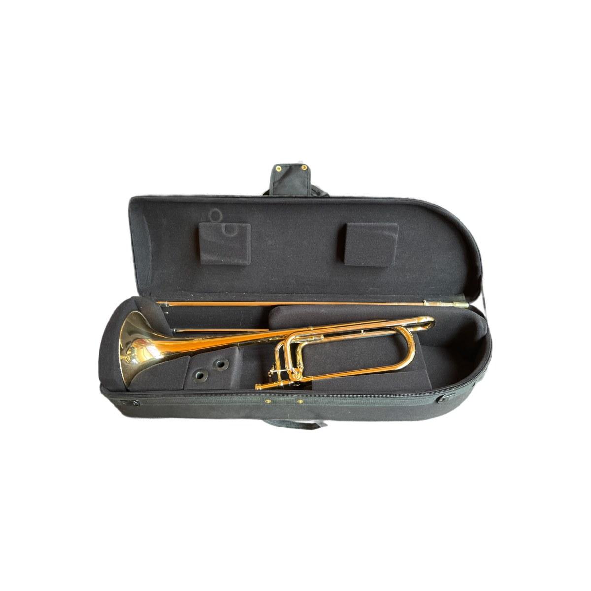 Schagerl aurora trombone tenore s.n. 11792 usato