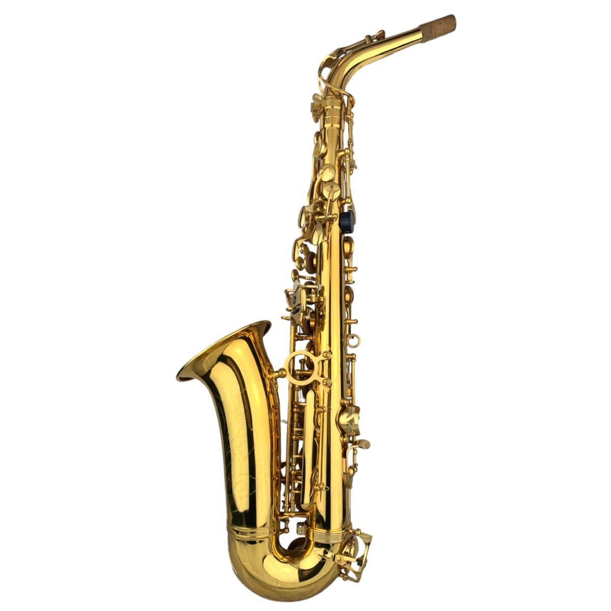 Cigalini sax contralto serie studio laccato ex demo