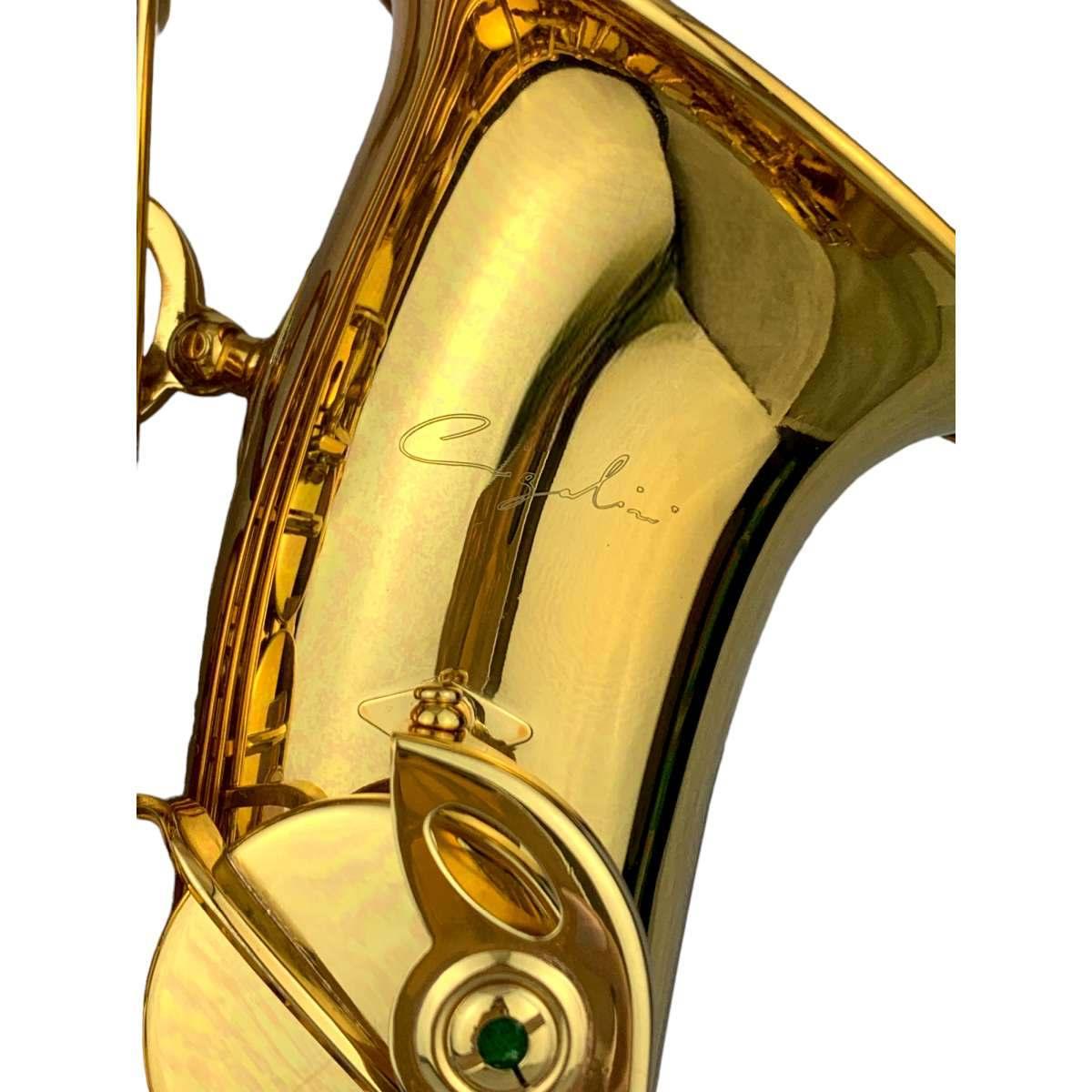 Cigalini sax contralto serie studio laccato ex demo
