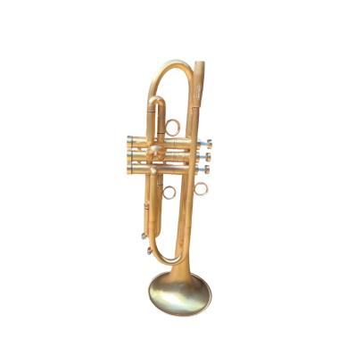 Bbrass t43 tromba sib brush gold laquered