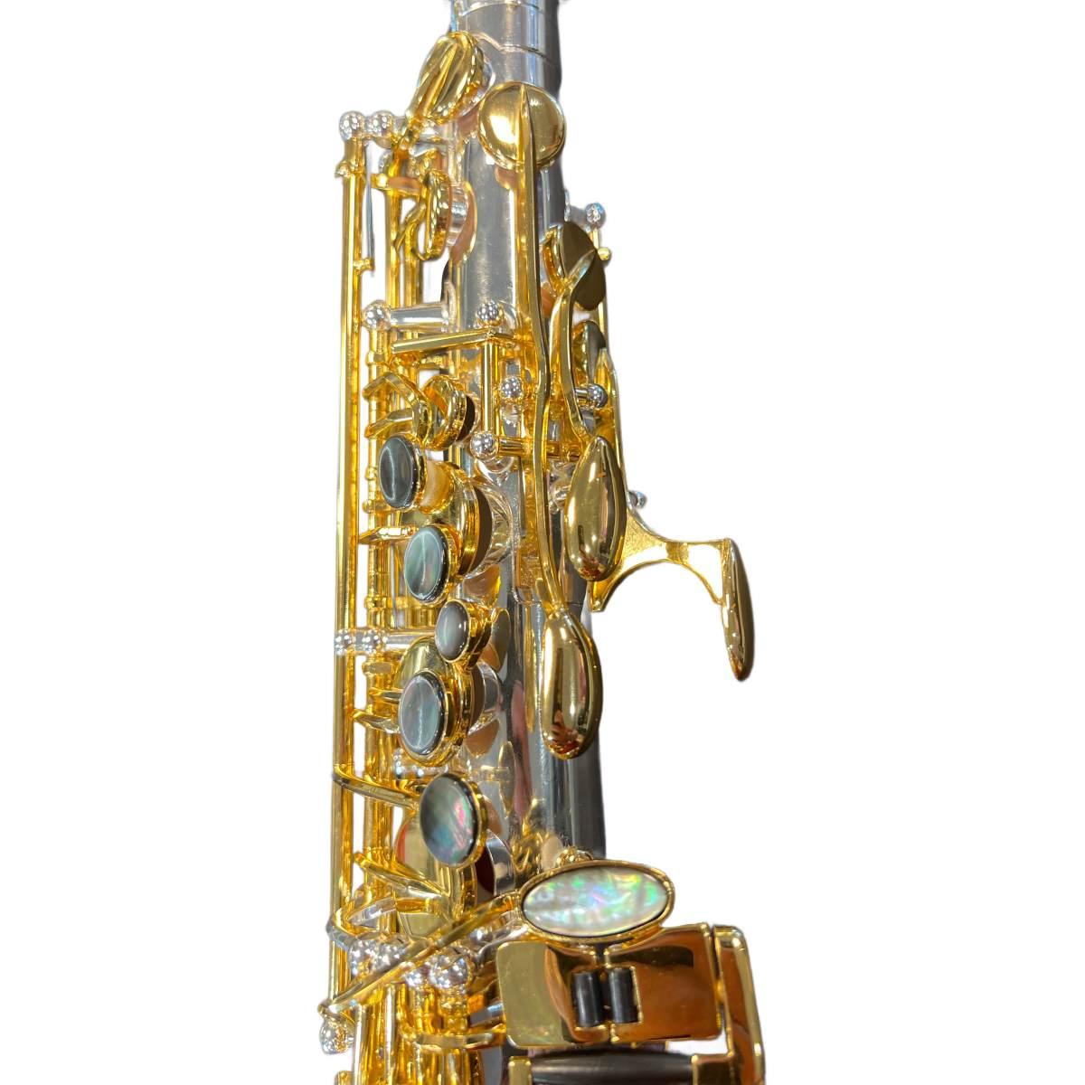 BBRASS POLTROSAX SAX ALTO silver plated + chiavi gold plated