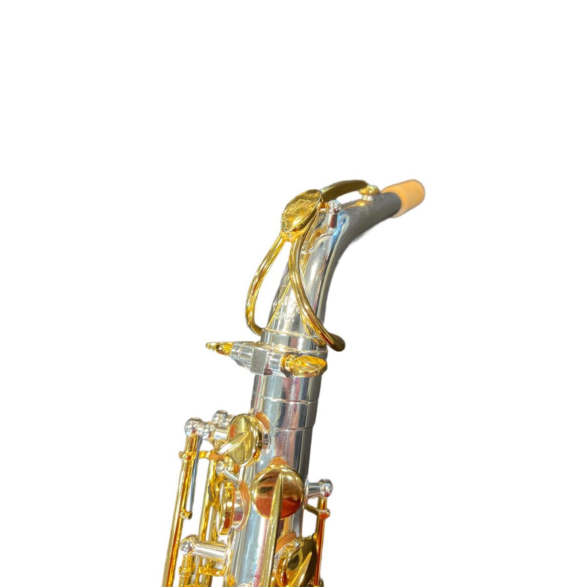 BBRASS POLTROSAX SAX ALTO silver plated + chiavi gold plated