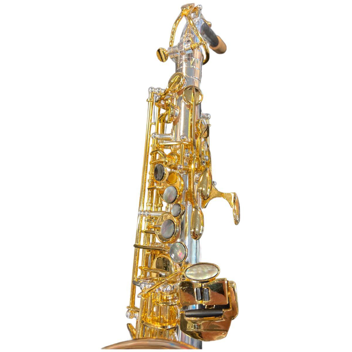 Bbrass poltro sax alto signature