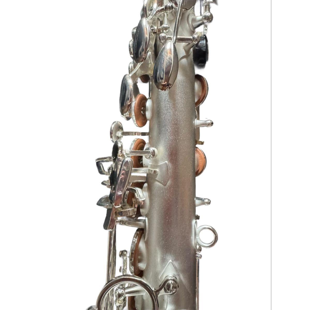 BBRASS POLTROSAX SAX ALTO - silver brush + chivi argentate