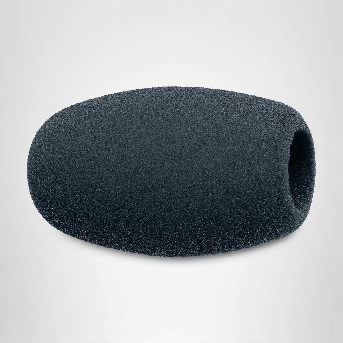 Sennheiser mzw 1