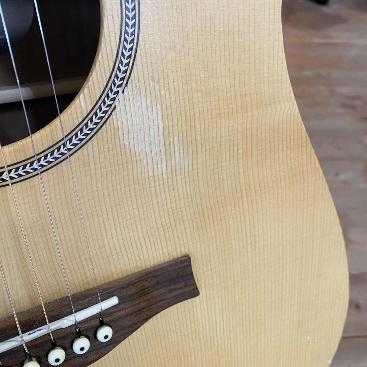 SEAGULL Excursion Walnut SG Isys T CON CUSTODIA - USATO GARANTITO