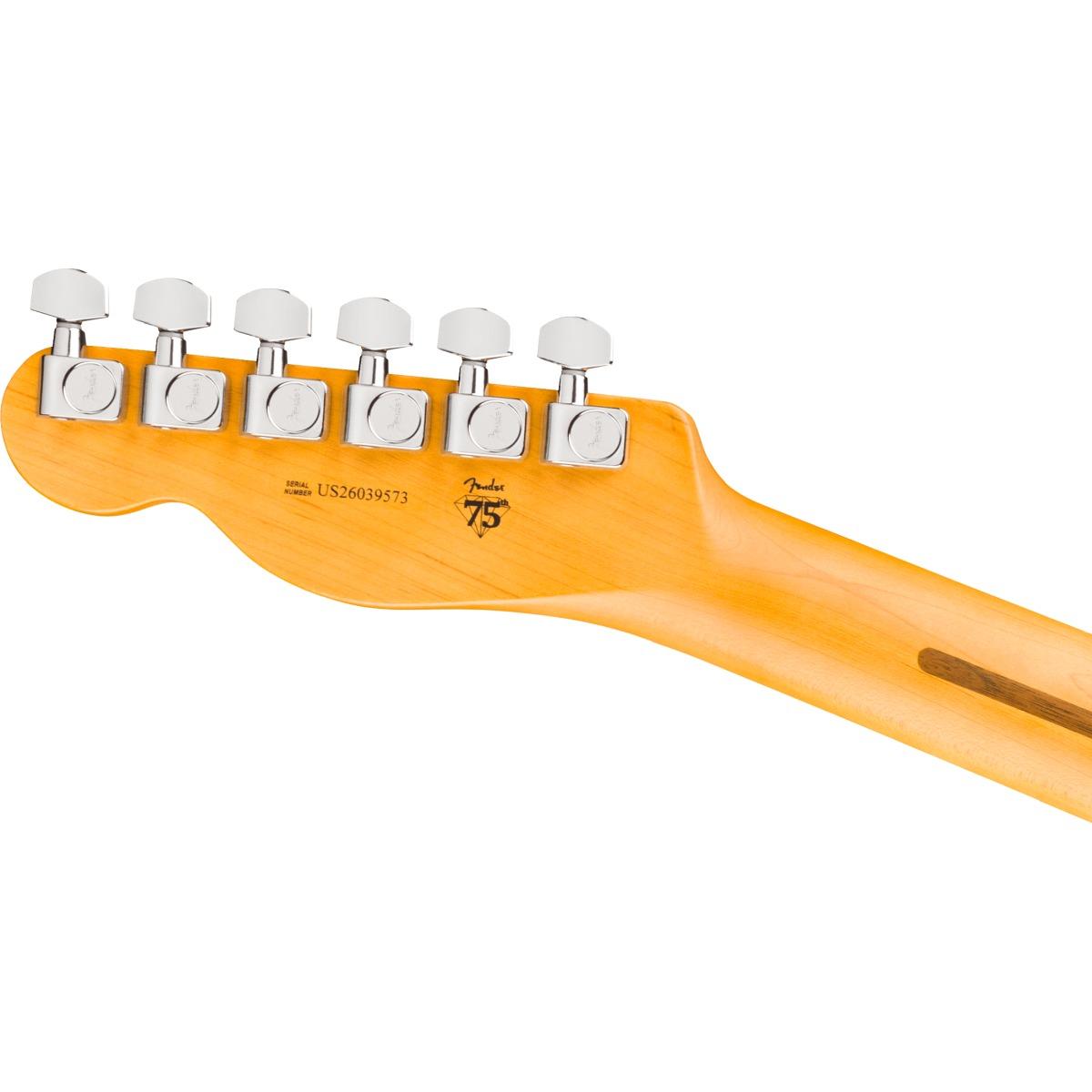 Fender american professional telecaster rw natural x chitarra elettrica