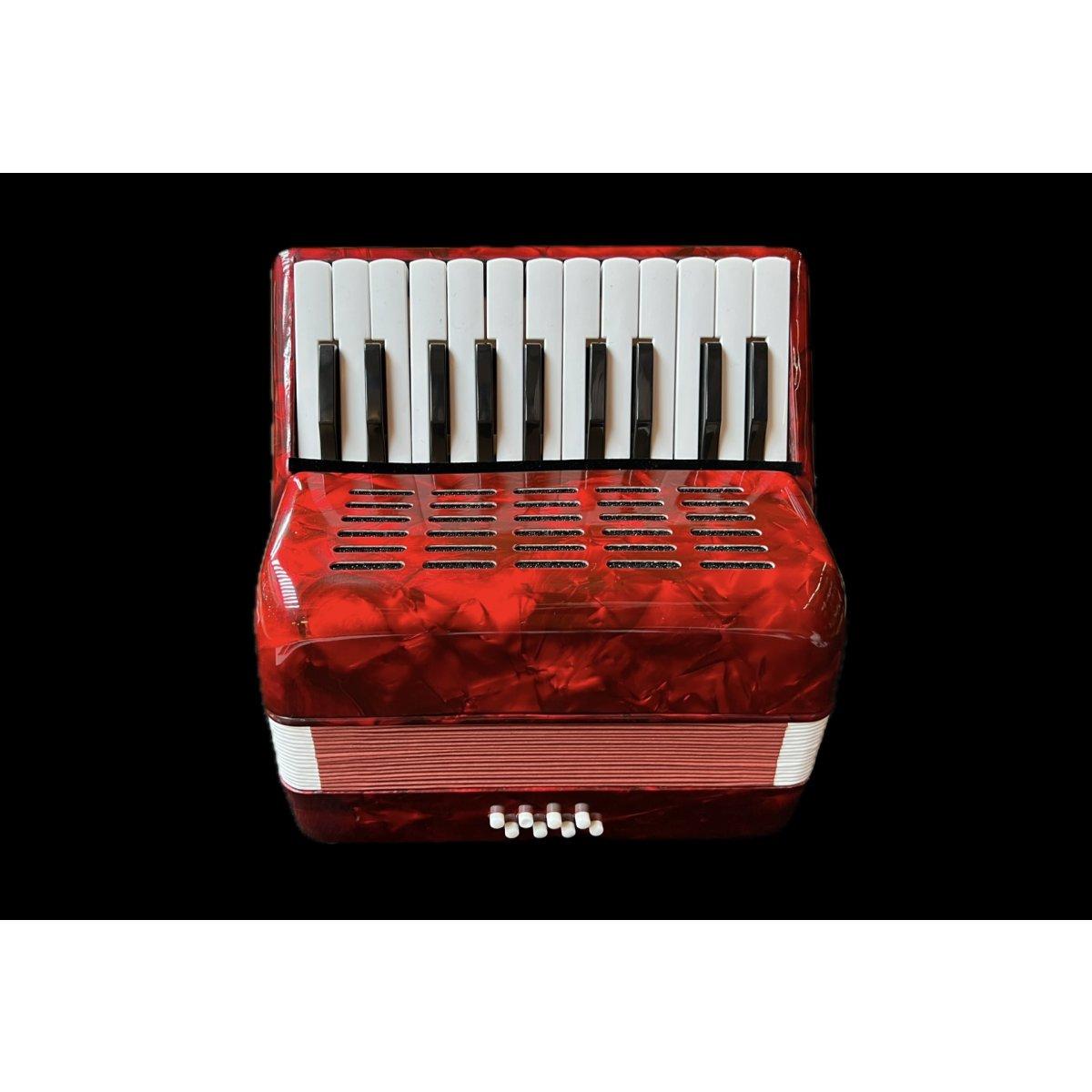 Classic student fisarmonica per bambini 8 bassi 22 note