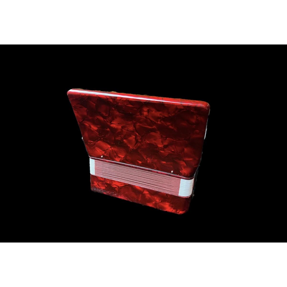 Classic student fisarmonica per bambini 8 bassi 22 note