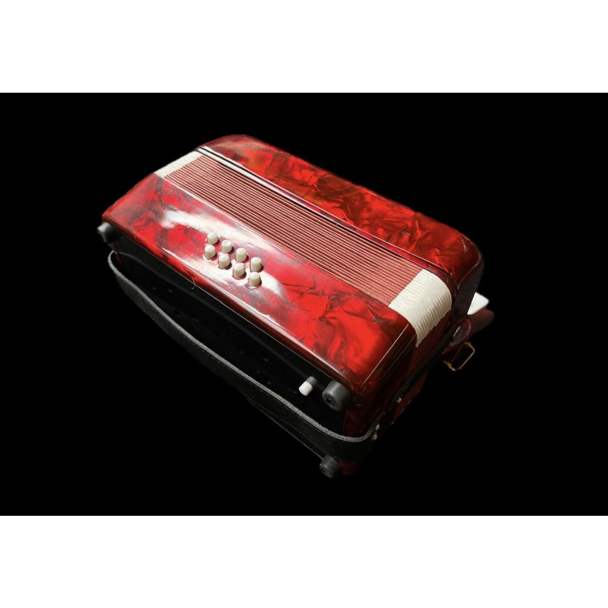 Classic student fisarmonica per bambini 8 bassi 22 note