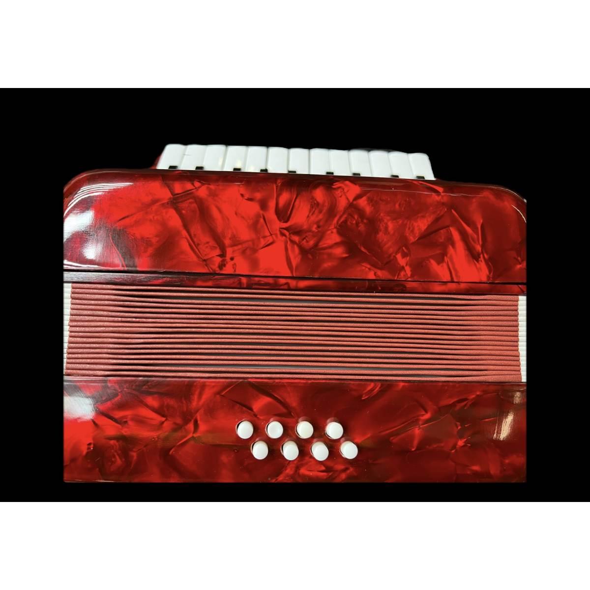 Classic student fisarmonica per bambini 8 bassi 22 note